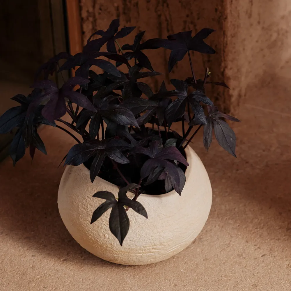 Audo - Plantas Pflanzentopf