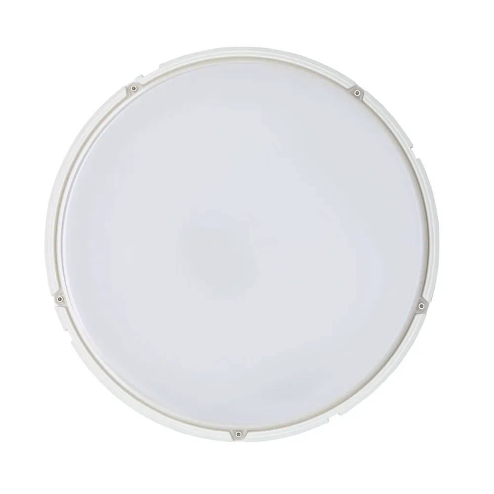 Philips CoreLine | Wandleuchte | 20W | CCT-Schalter | Nicht dimmbar | Wasserdicht