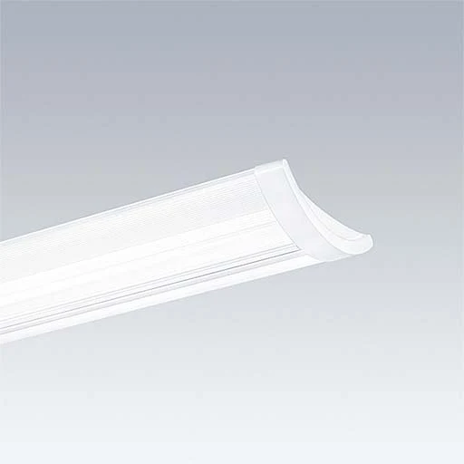 Thorn - Decken-/Wandleuchte LED-Anbauleuchte IQ SURF L #96629837 3000K