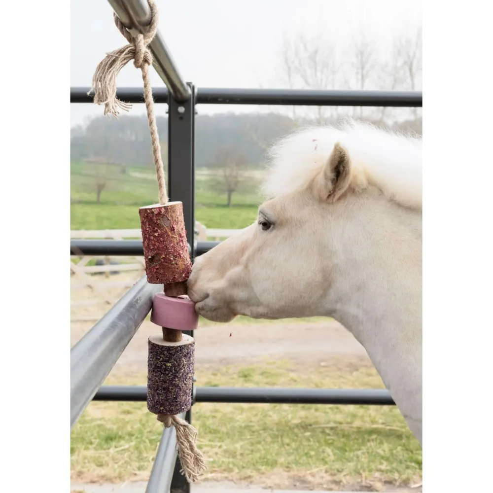 Grooming Deluxe Kentucky Relax Horse Toy Wooden Sammy Salt Lick