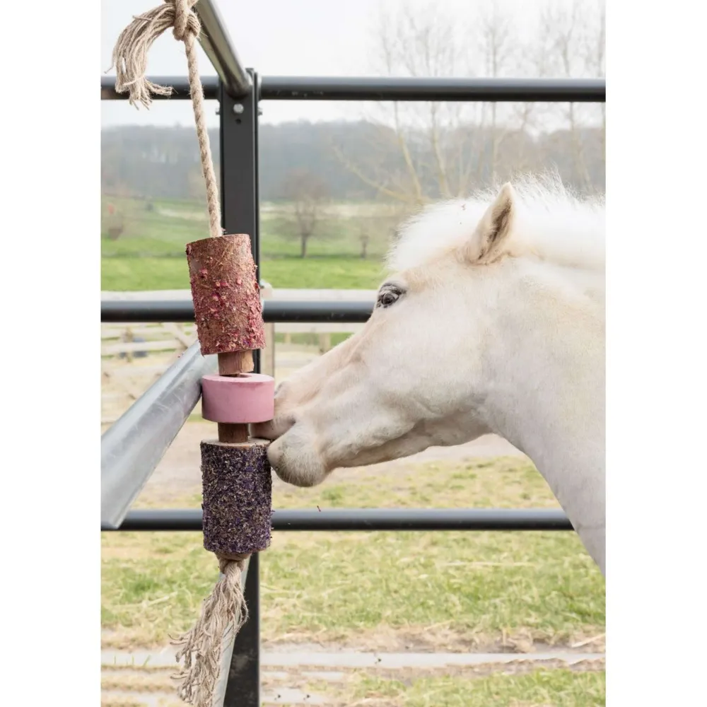 Grooming Deluxe Kentucky Relax Horse Toy Wooden Sammy Salt Lick