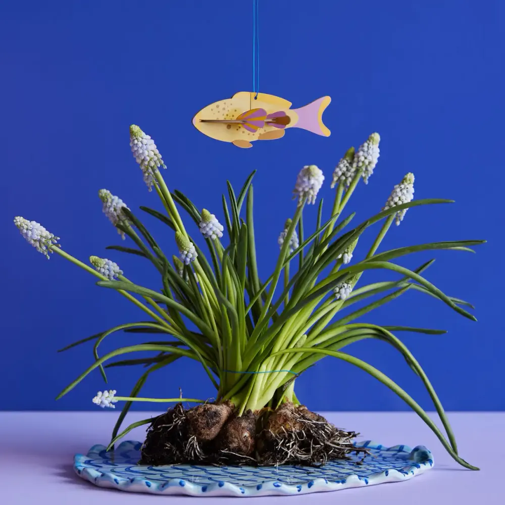 Lucky Charm / Fish