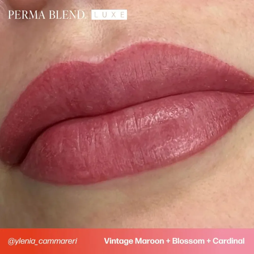 Perma Blend LUXE Kardinal
