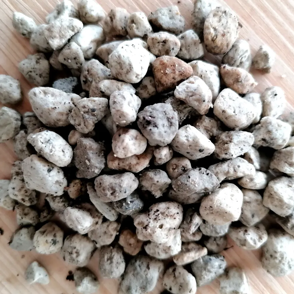 Alokasien Substrat | mineralisch | 250g