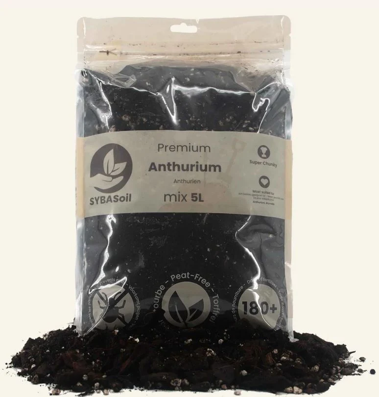 ANTHURIUM MIX 5L | Substrat für Anthurien & Bromelien