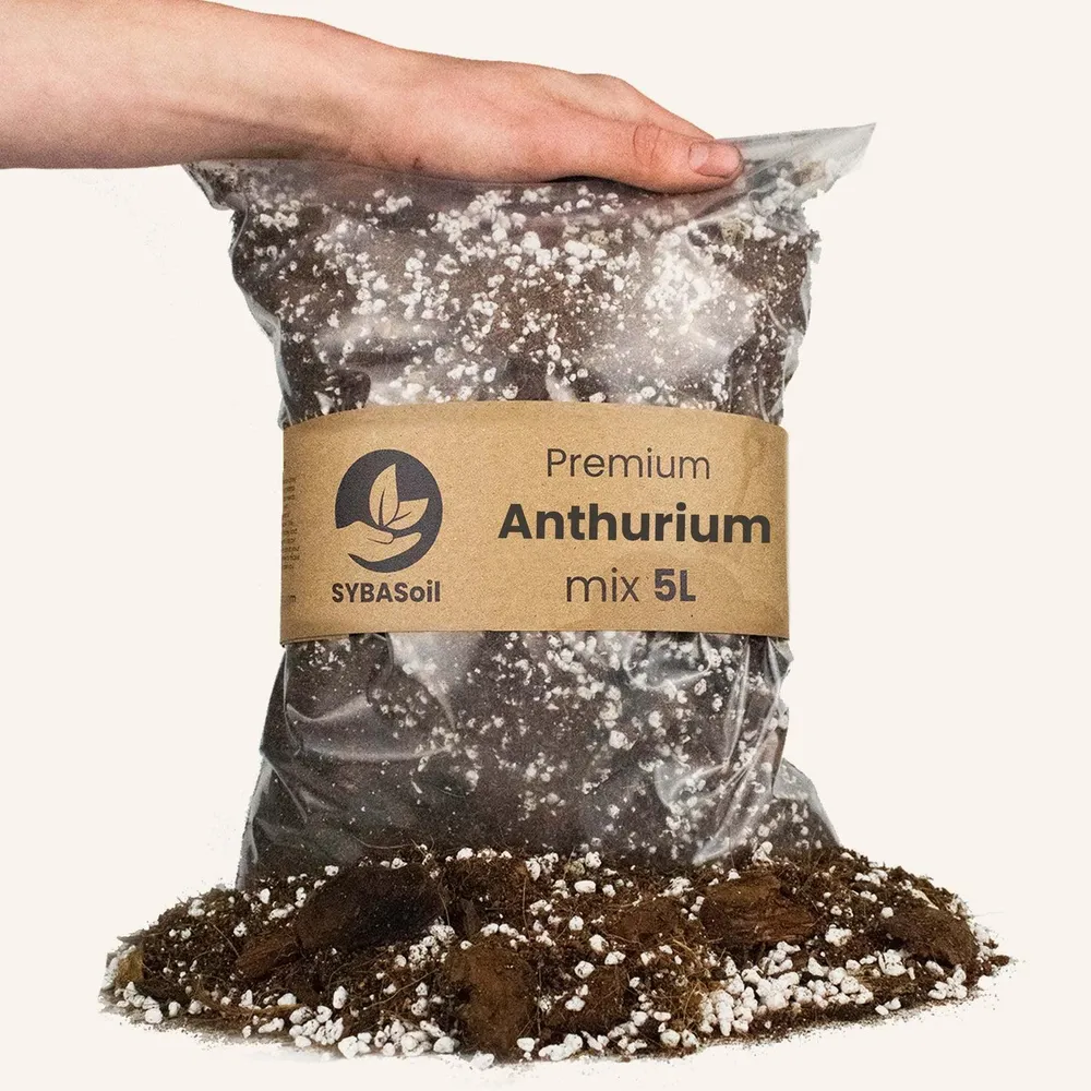 Anthurium-Erde – 5 l