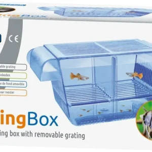 Breeding Box Aquarium