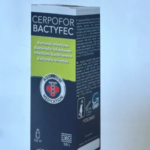 Cerpofor Bactyfec (bakterielle Infektionen)