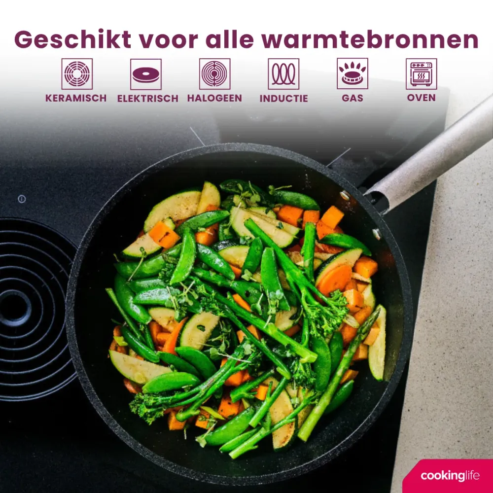Cookinglife Bratpfannenset ProForge Ø 24 und 28 cm – geeignet für alle Wärmequellen – keramische Antihaftbeschichtung