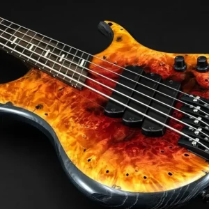Dingwall Custom Shop Z3X-5 Buckeye Burl Dunkelrot bis Orange RevBurst VORBESTELLUNG!