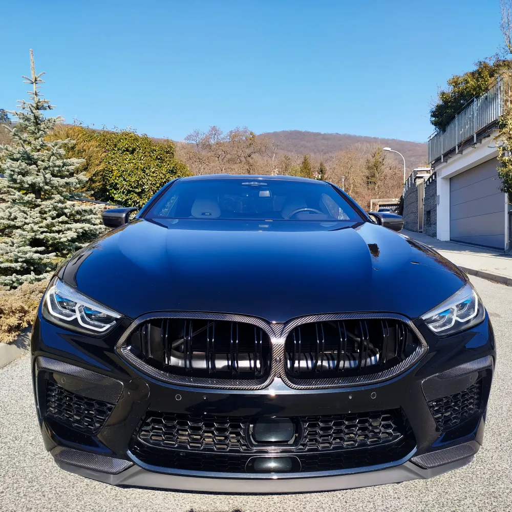 Dry Carbon Kühlergrill Nieren für BMW 8er (G14 G15 G16) Pre-LCI