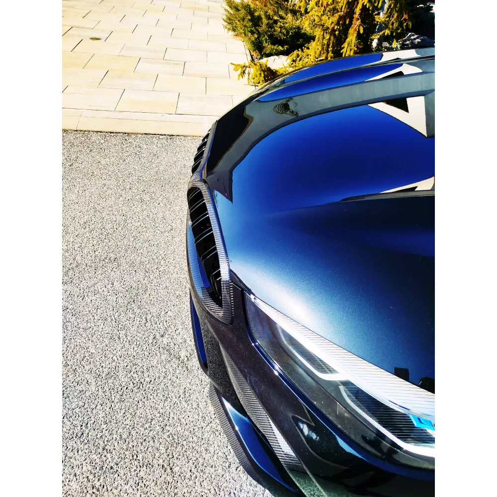 Dry Carbon Kühlergrill Nieren für BMW 8er (G14 G15 G16) Pre-LCI