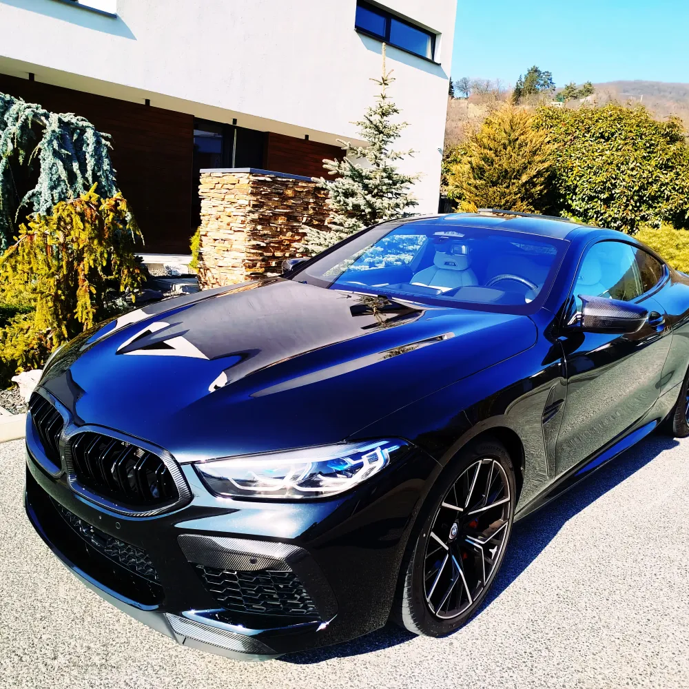 Dry Carbon Kühlergrill Nieren für BMW 8er (G14 G15 G16) Pre-LCI