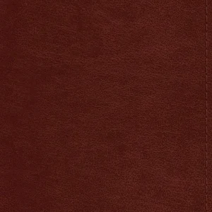 ESV Pocket Bible-Chestnut TruTone