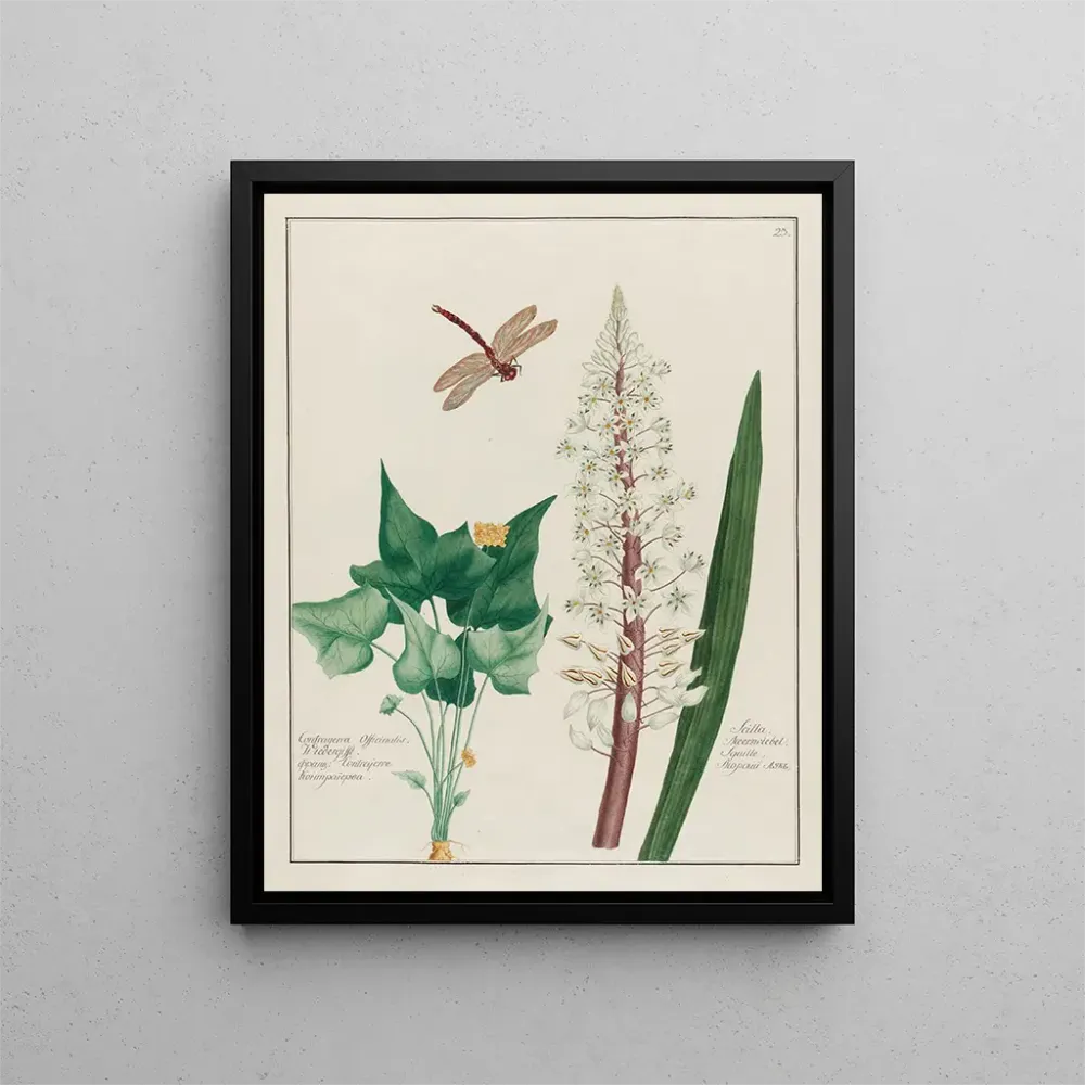 Gemälde Contrayerva officinalis und Scille - Petr Martynovich Gofman