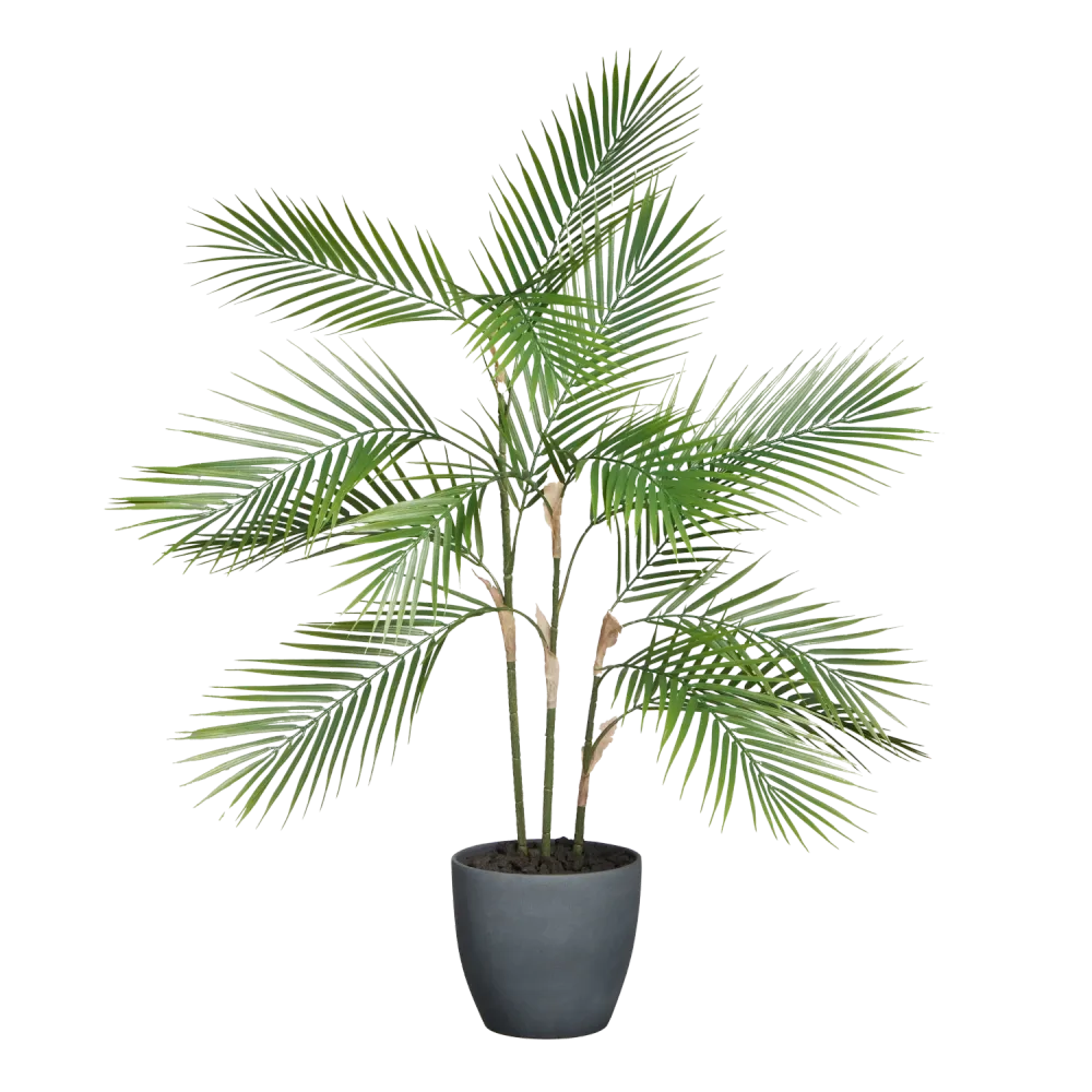 Künstliche Bergpalme - Nolte | 100 cm