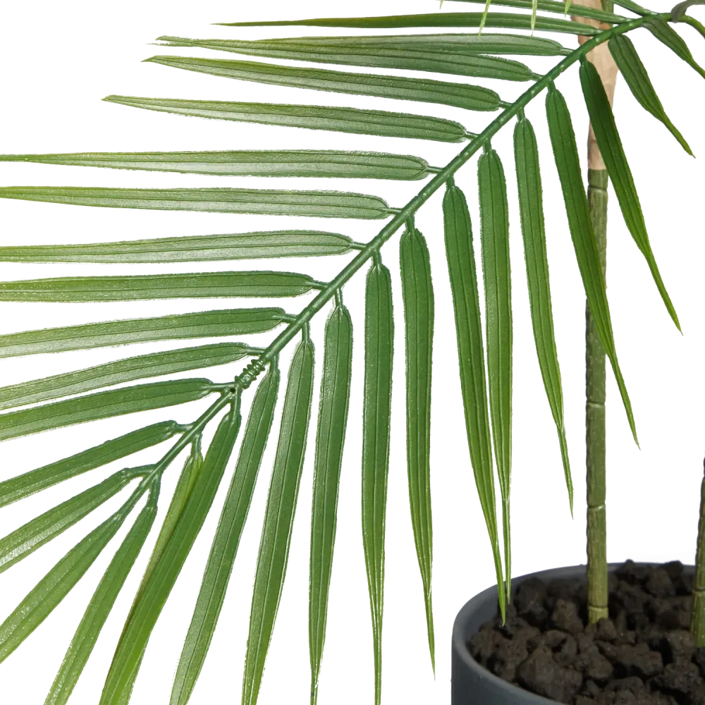 Künstliche Bergpalme - Nolte | 100 cm