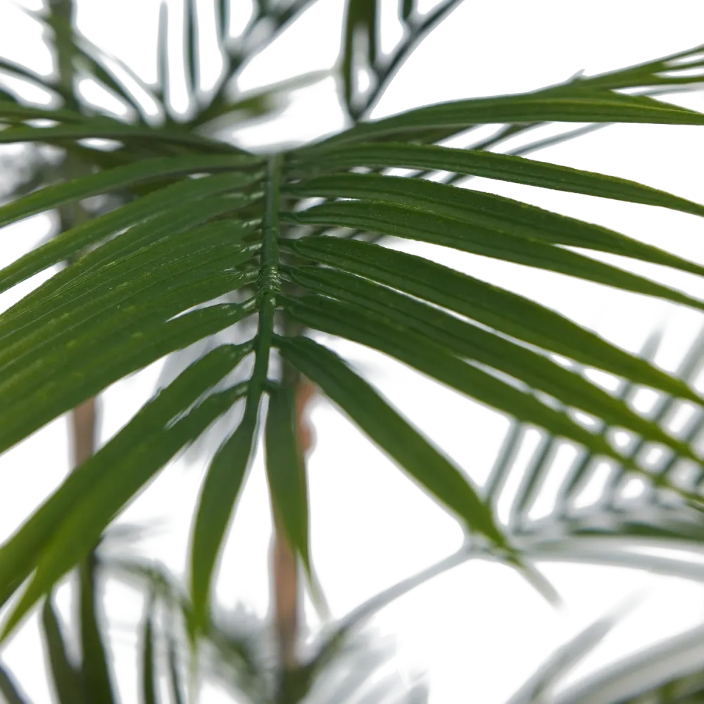 Künstliche Bergpalme - Nolte | 140 cm