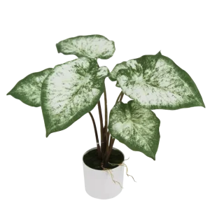 Künstliche Caladium - Dalia | 45 cm