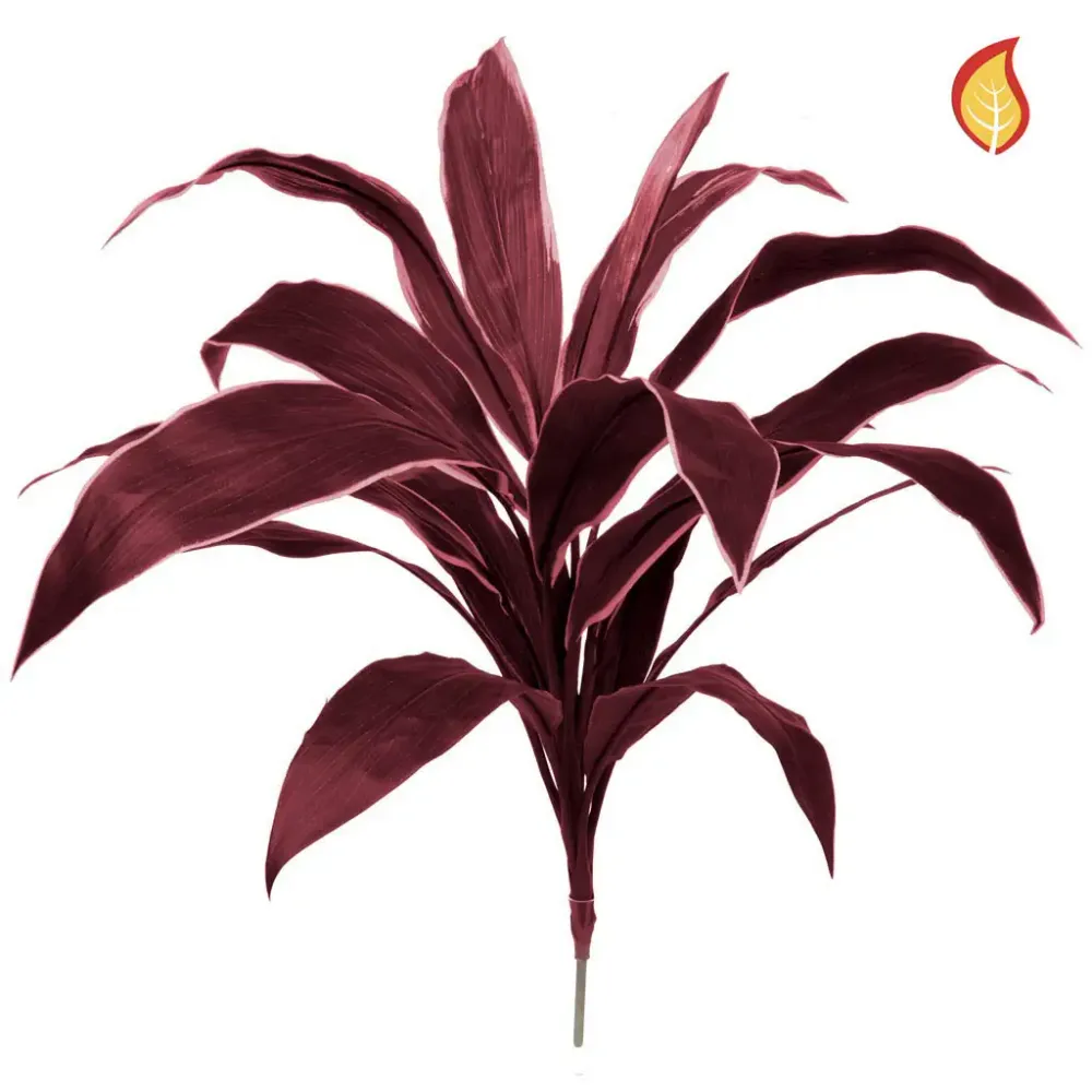 Künstliche Cordyline - Andrea | 62 cm