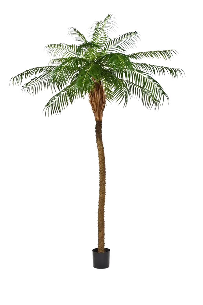 Künstliche Dattelpalme - Kaan | 225 cm