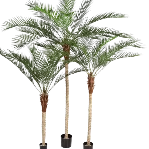Künstliche Dattelpalme - Kian | 210 cm