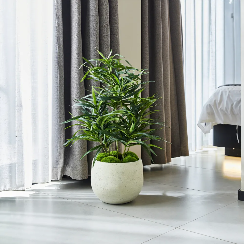 Künstliche Dracaena Reflexa – Orielle | 70 cm