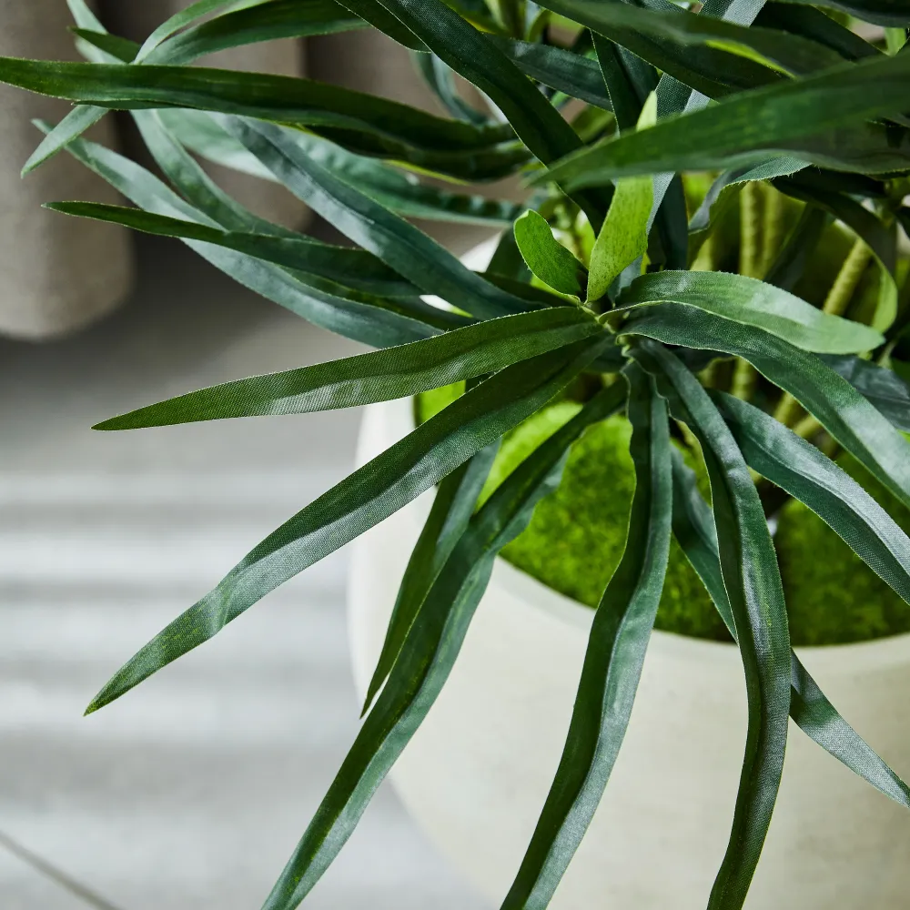 Künstliche Dracaena Reflexa – Orielle | 70 cm