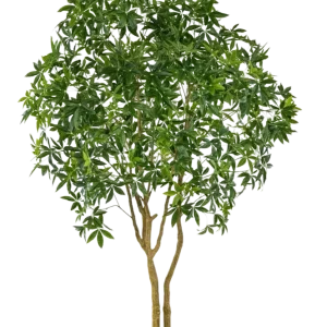 Künstliche Glückskastanie - Mitsu | 285 cm