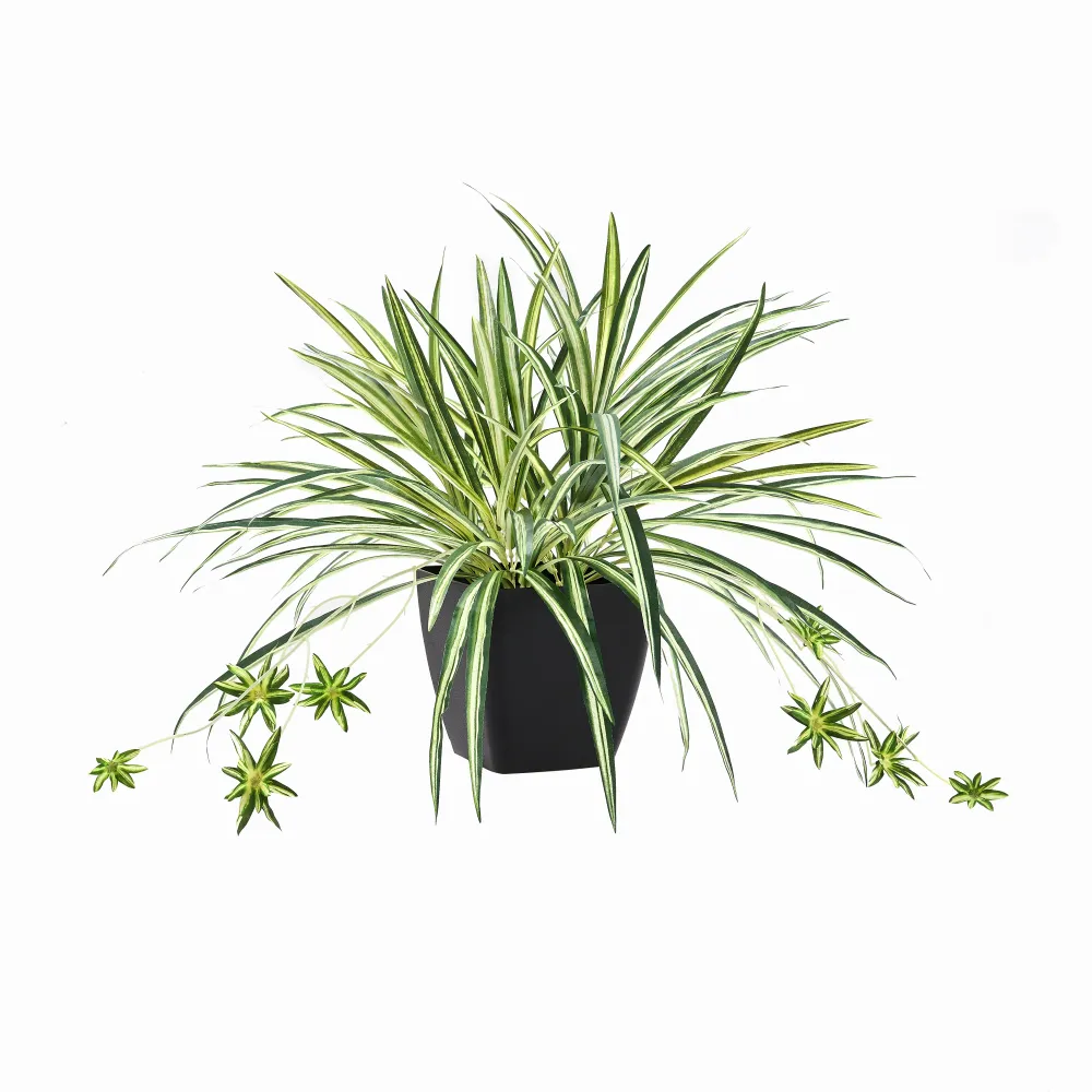 Künstliche Grünlilie – Liora | 50 cm