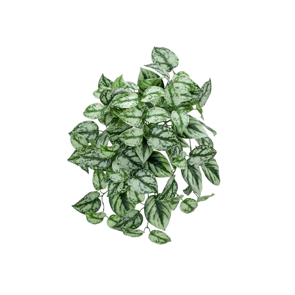 Künstliche Hänge-Scindapsus - Tammi | 40 cm