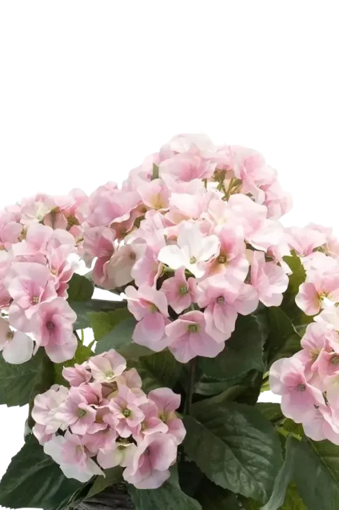 Künstliche Hortensie - Lennard | 45 cm