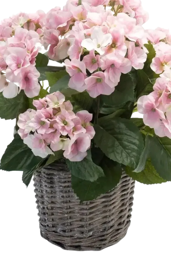 Künstliche Hortensie - Lennard | 45 cm