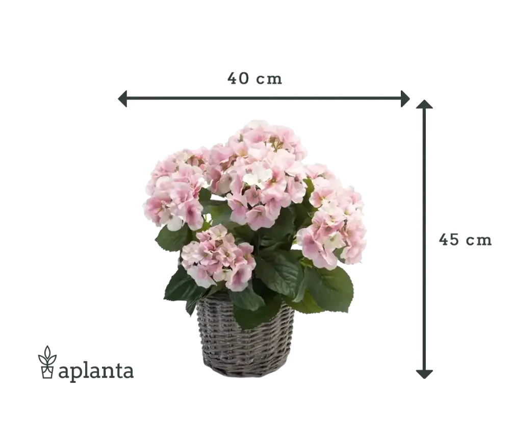 Künstliche Hortensie - Lennard | 45 cm