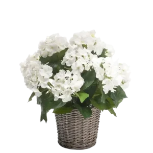 Künstliche Hortensie - Lenny | 45 cm
