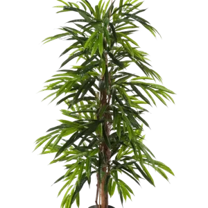 Künstliche Longifolia - Maurice | 210 cm