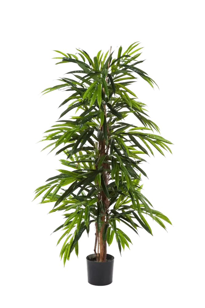 Künstliche Longifolia - Maurice | 210 cm
