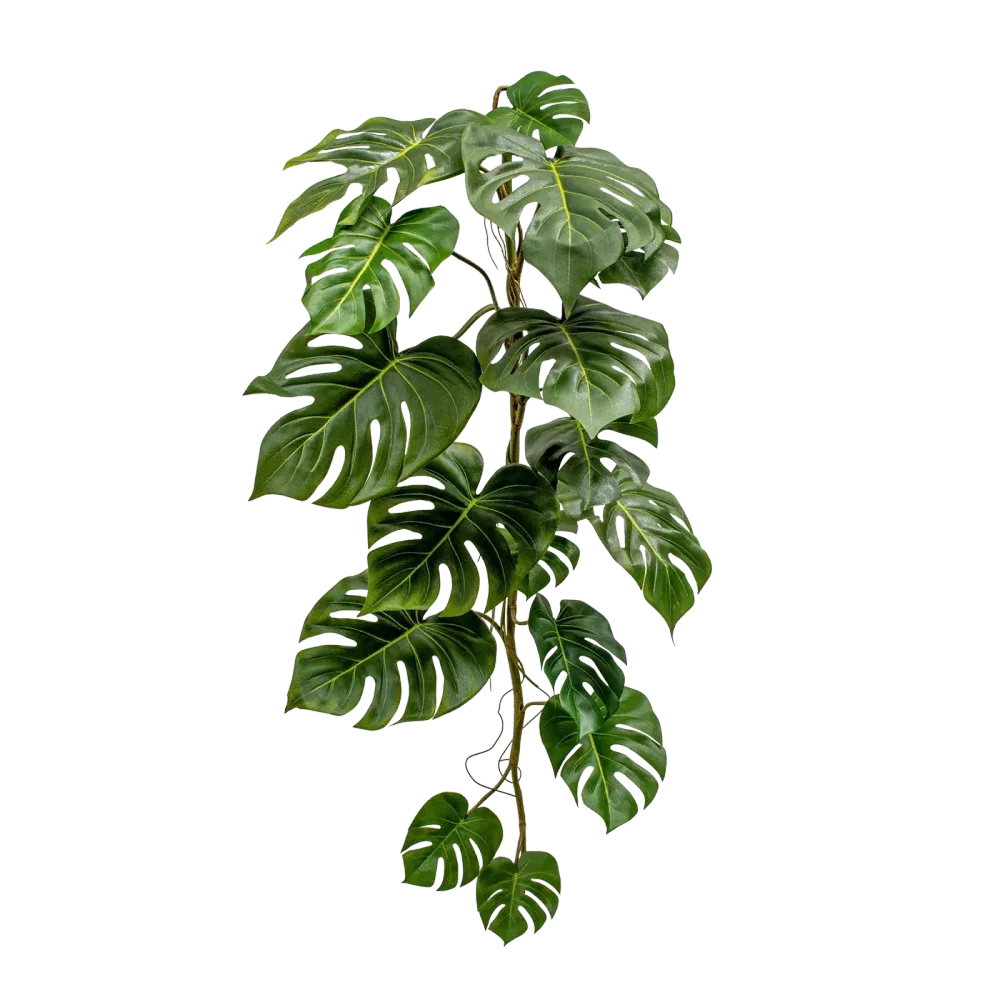 Künstliche Monstera Girlande - Sita | 125 cm