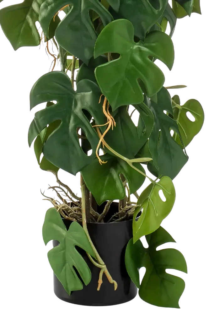 Künstliche Monstera - Luise | 75 cm