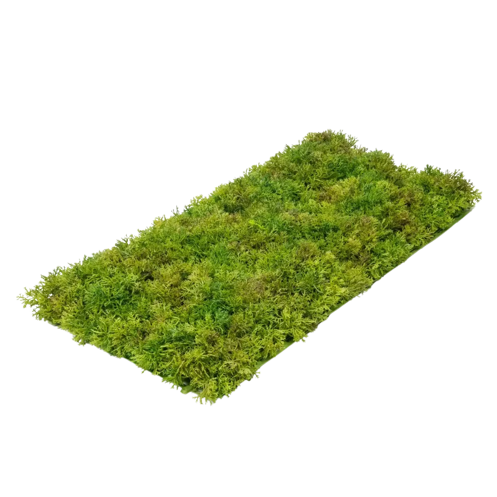 Künstliche Moosmatte - Aloisia | 25x50cm