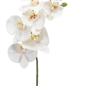Künstliche Orchidee - Chen Lu | 86 cm