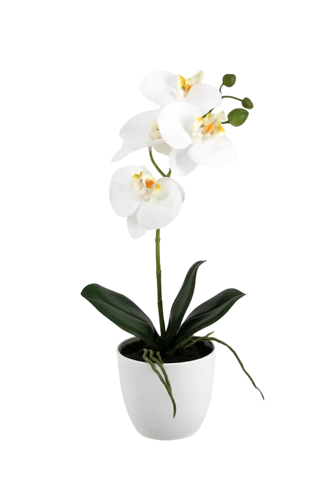 Künstliche Orchidee - Han | 36 cm
