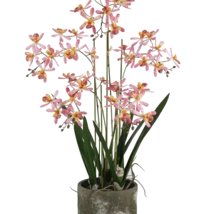 Künstliche Orchidee - Han | 59 cm