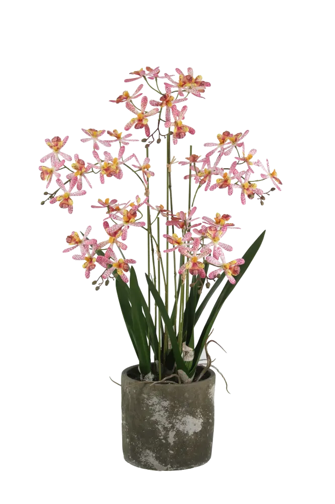 Künstliche Orchidee - Han | 59 cm