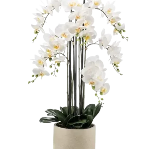 Künstliche Orchidee - Louisa | 100 cm