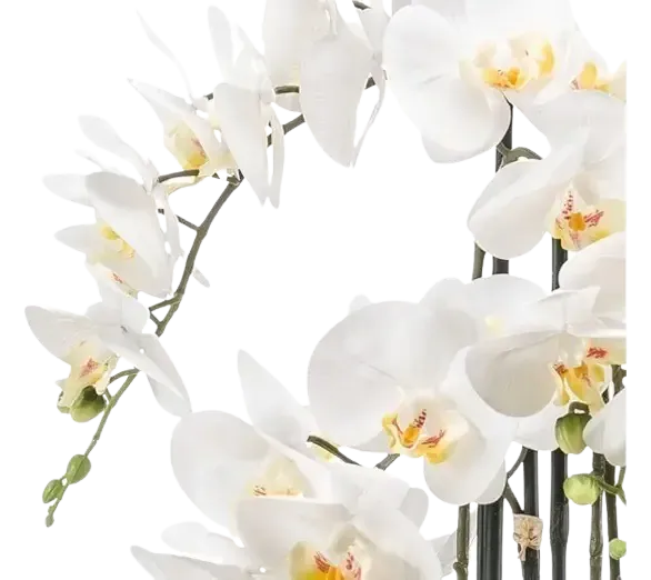 Künstliche Orchidee - Louisa | 100 cm