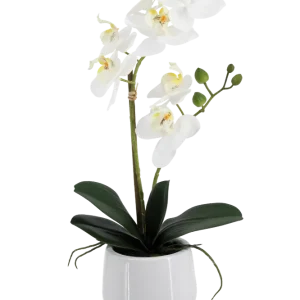 Künstliche Orchidee - Mian | 45 cm