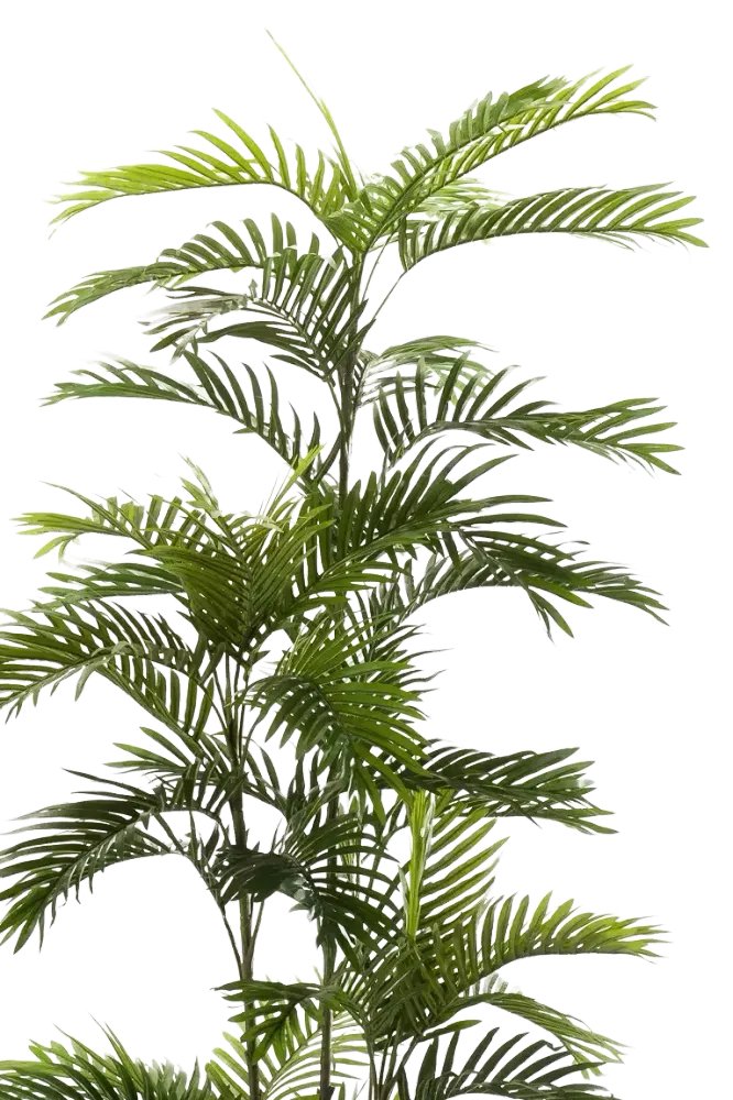 Künstliche Phoenix Palme - Kira | 180 cm