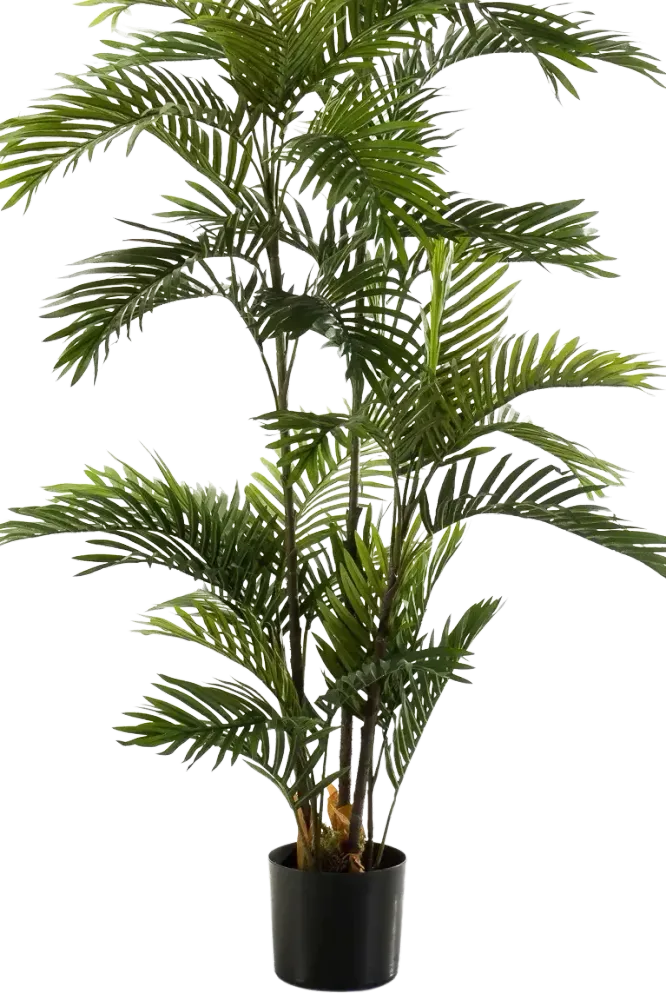 Künstliche Phoenix Palme - Kira | 180 cm