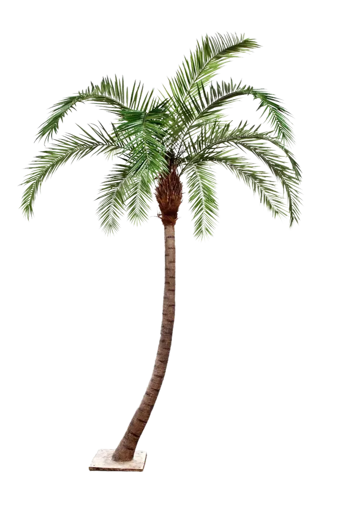 Künstliche Phoenixpalme - Simon | 360 cm